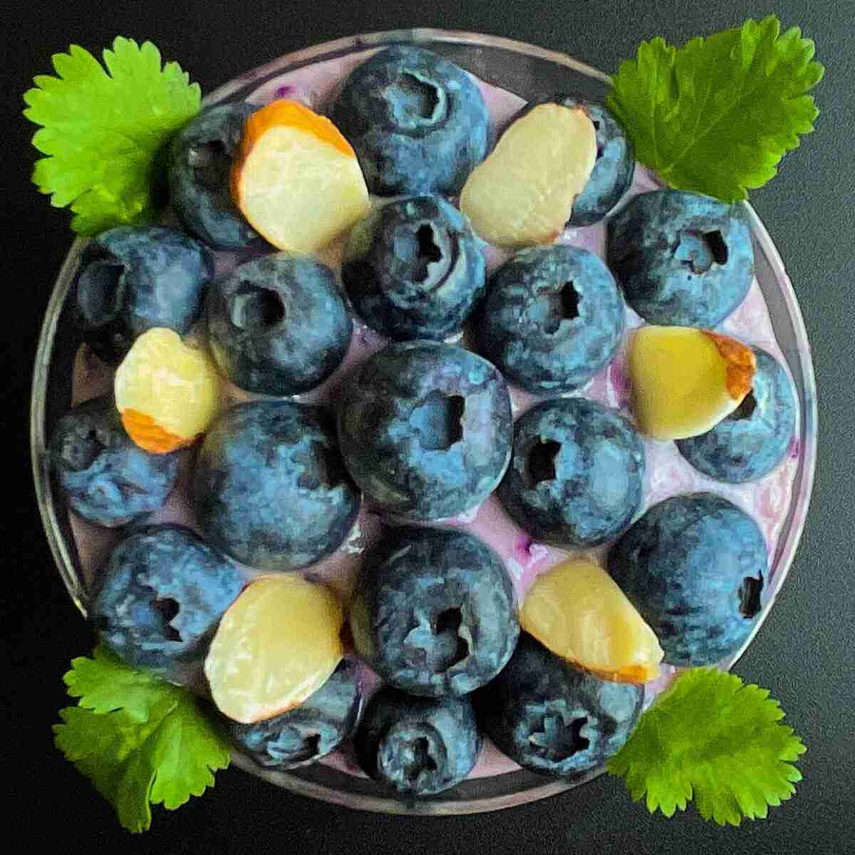 A cup of vegan sugarfree blueberry pudding or homemade blueberry soy yogurt.