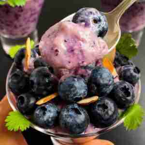 A cup of vegan sugarfree blueberry pudding or homemade dairyfree blueberry soy yogurt.