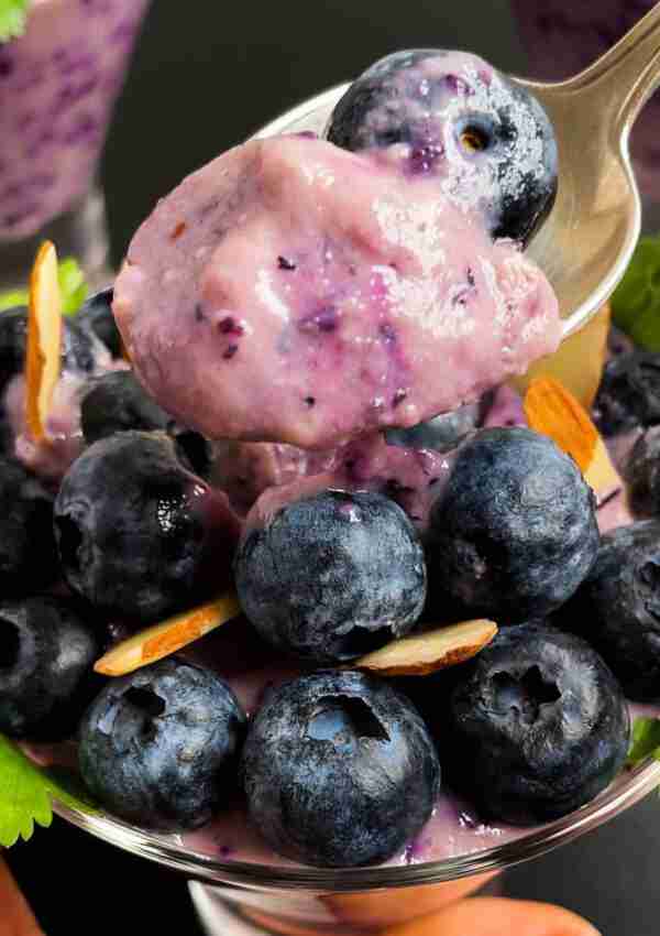 A cup of vegan sugarfree blueberry pudding or homemade dairyfree blueberry soy yogurt.