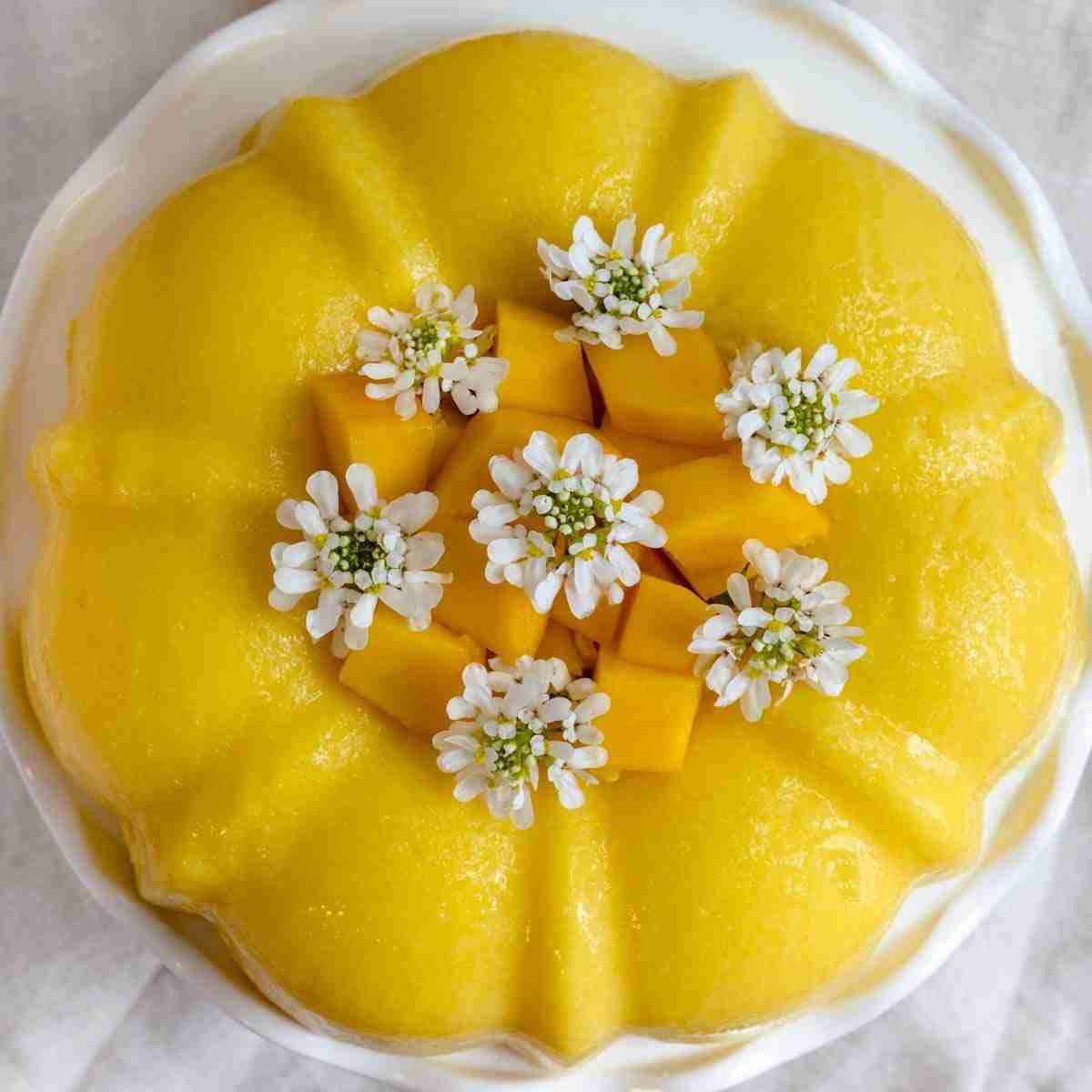 Vegan mango coconut milk jello cake topped with mango slices and fresh white flowers.