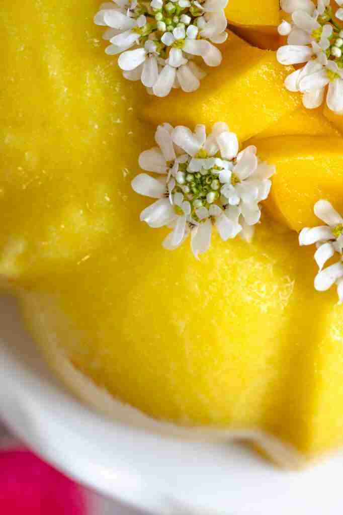 A close up of this vegan, agar-agar dessert.