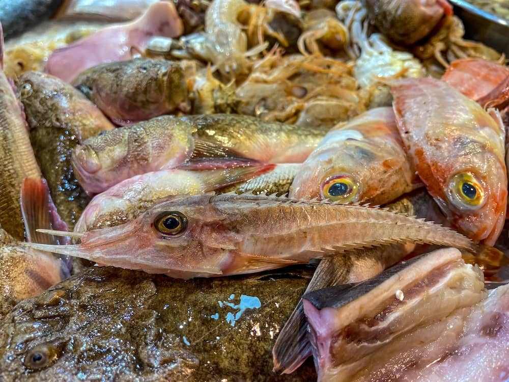 Fish for sale at the Cabanyal market hall in Valencia, Spain.
