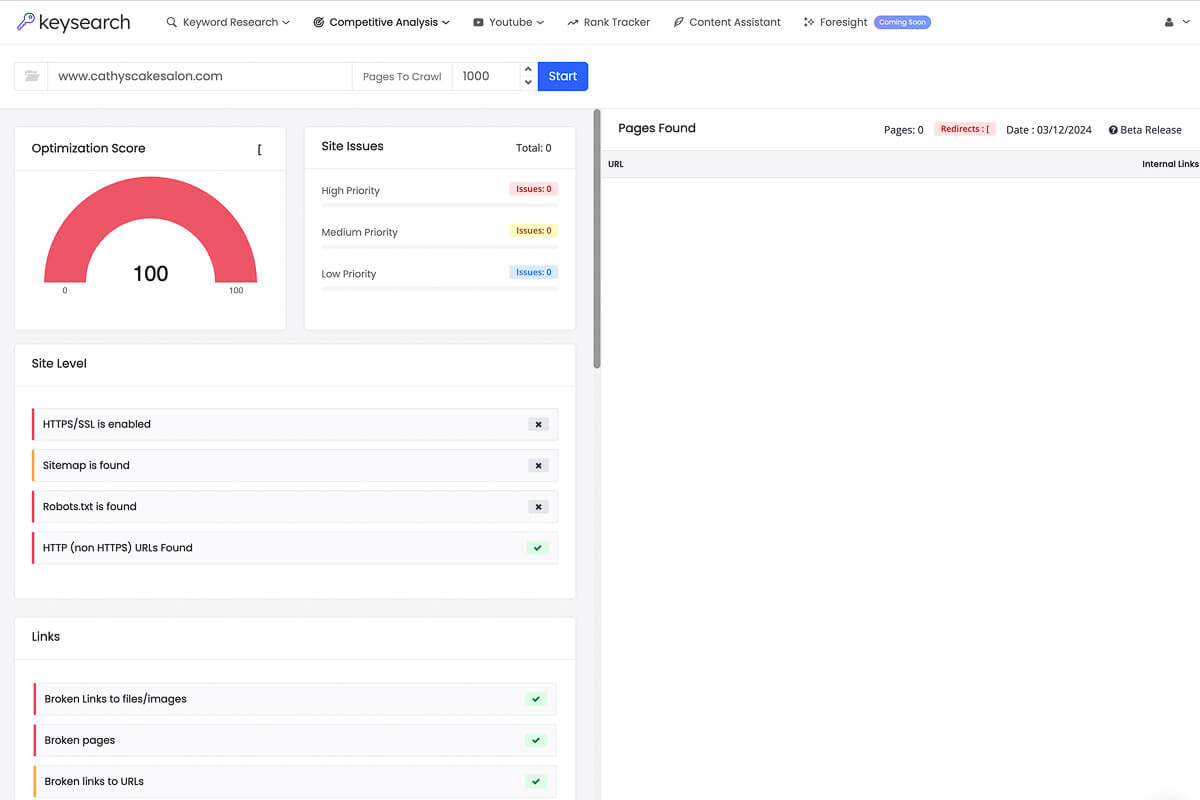 The site audit page.