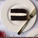 Pinterest Hidden Image