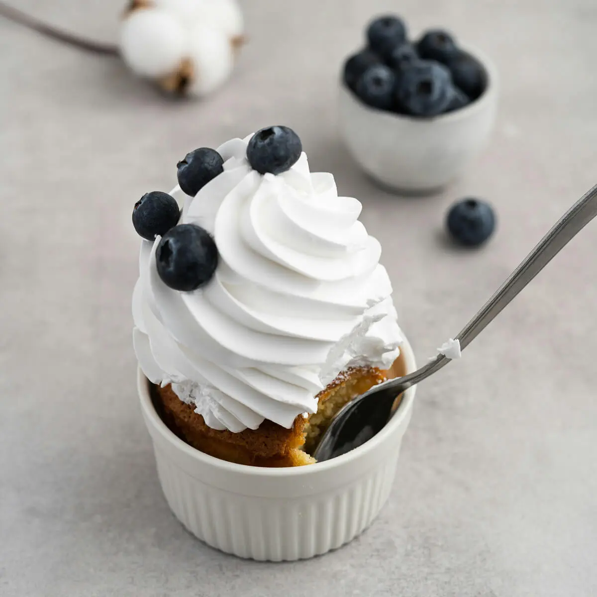 Low carb whipped cream sweetened with Lakanto monkfruit sweetener.